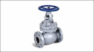 CS Globe Valves | D and D Valves