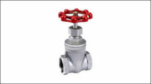 SS Screwed Gate Valves | D and D Valves