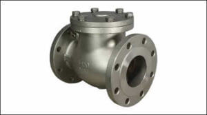 SS Swing Check Valves | D and D Valves