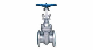 Stainless Steel Flanges | D and D Valve